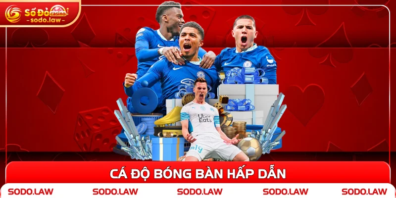 Cá độ bóng bàn hấp dẫn