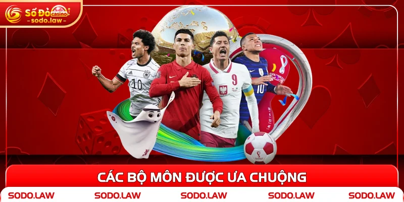 Các bộ môn được ưa chuộng