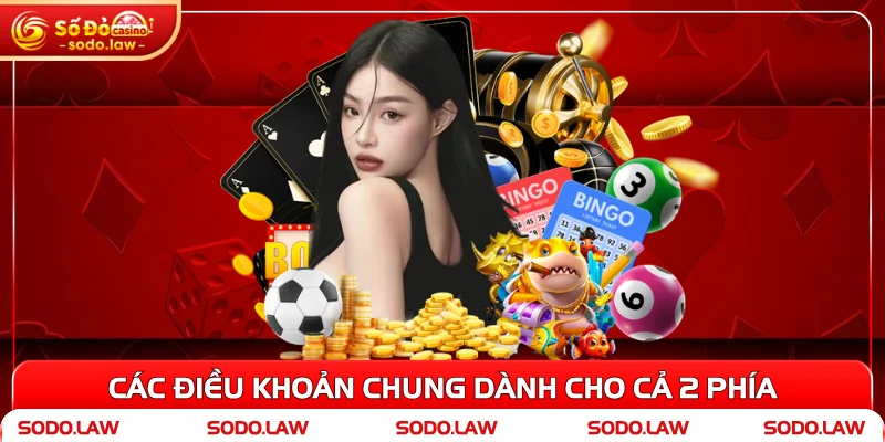 Các điều khoản chung dành cho cả 2 phía