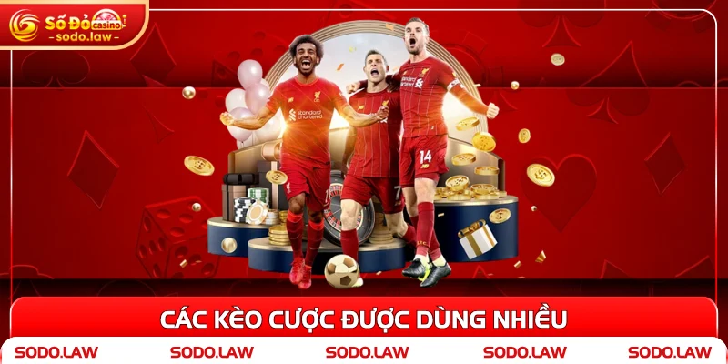 Các kèo cược được dùng nhiều