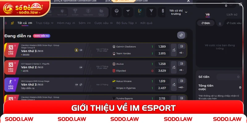 Giới thiệu về IM Esport