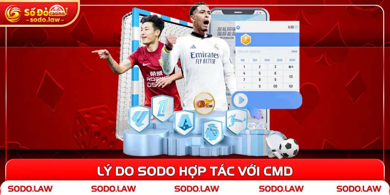 Lý do SODO hợp tác với CMD