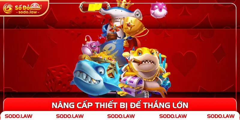 Nâng cấp thiết bị để thắng lớn