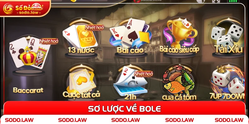Sơ lược về Bole