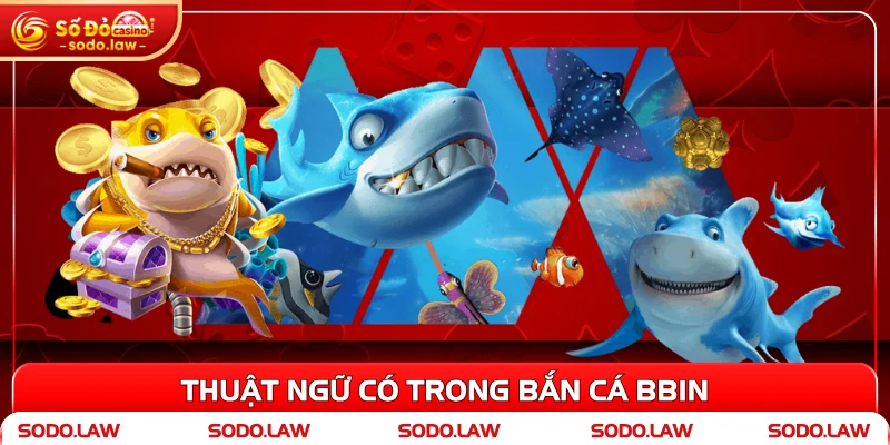 Thuật ngữ có trong Bắn cá BBin 