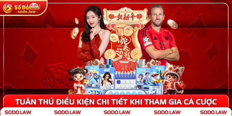 Tuân thủ điều kiện chi tiết khi tham gia cá cược