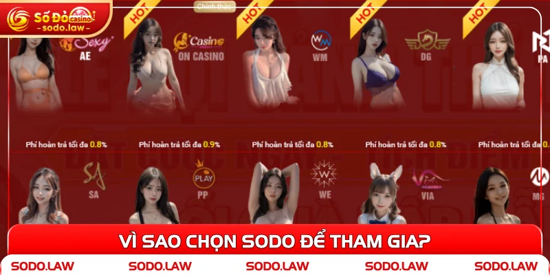 Vì sao chọn SODO để tham gia?