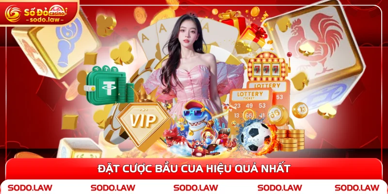 Đặt cược bầu cua hiệu quả nhất